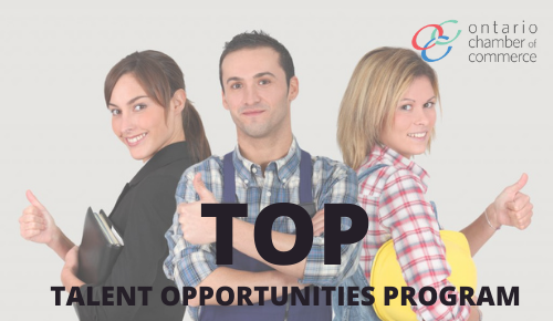 TOP – Talent Opportunities Program